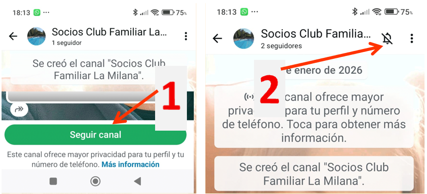 Instrucciones Canal Whatsapp La Milana